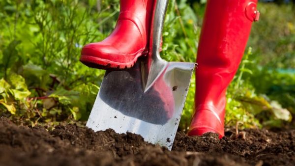 Gronn-Vekst_Park-jord