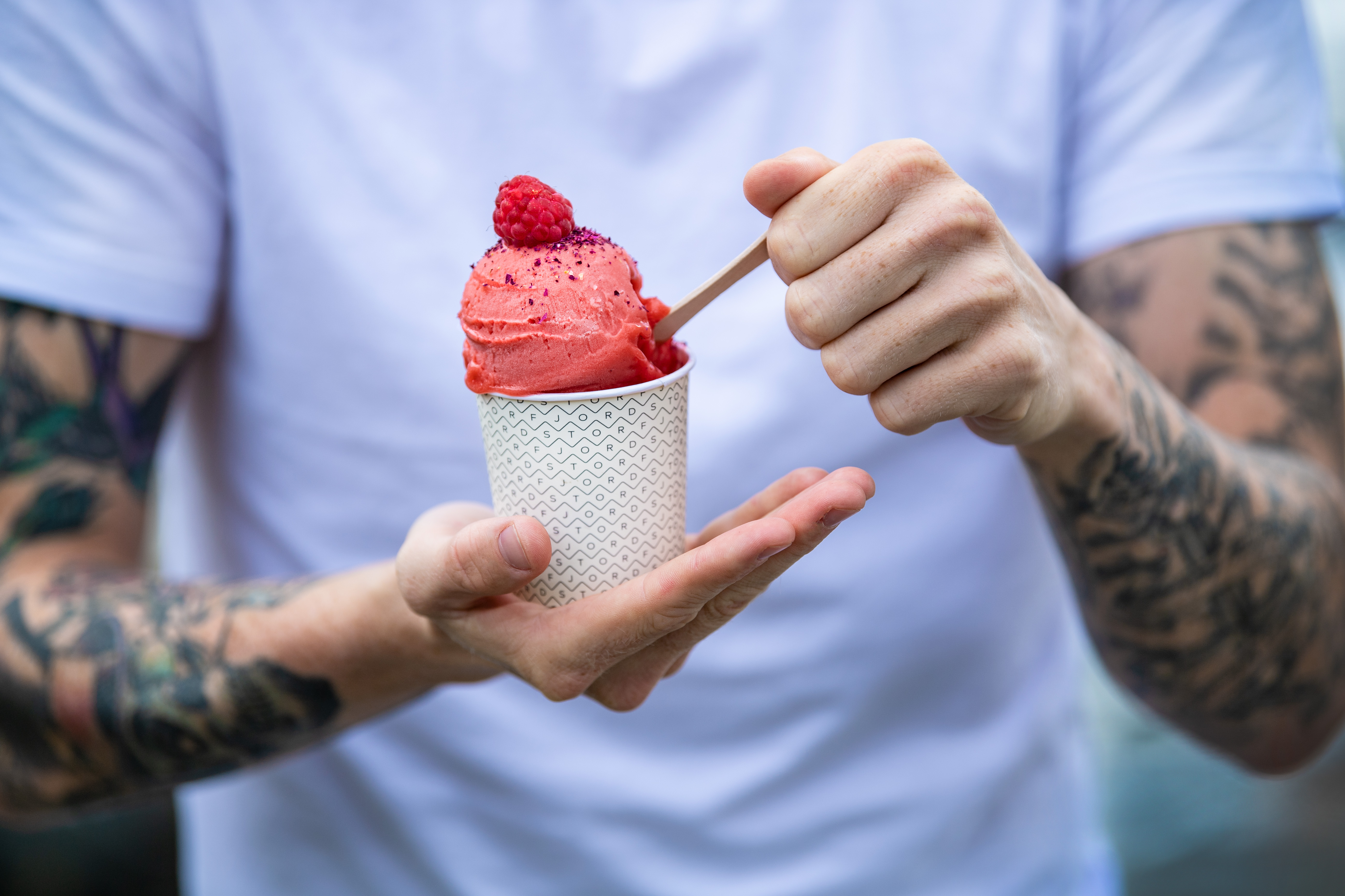 Storfjord%20Iskrem_DSC_8122